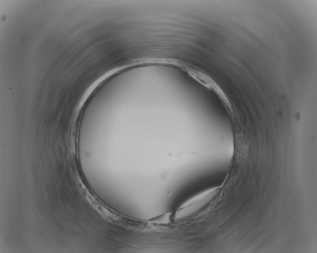 X0000083631148200703121647