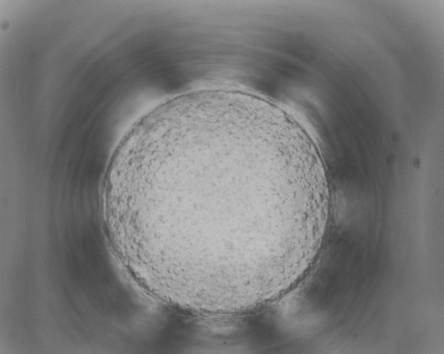 X0000083631150200703121647
