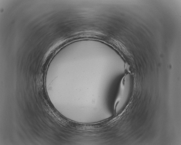 X0000083631164200703121646