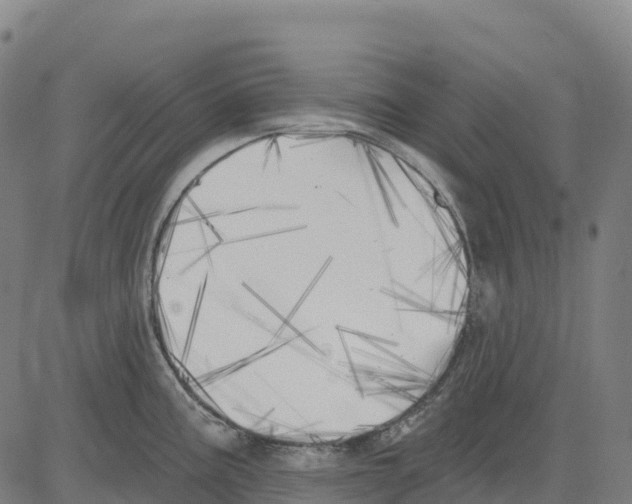 X0000083631195200703121646