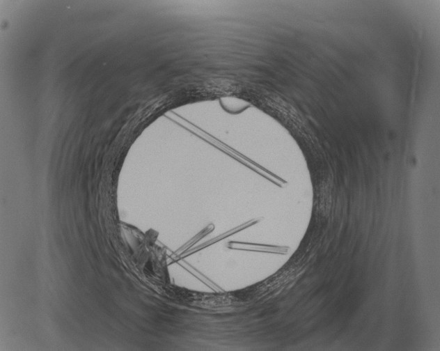 X0000083631201200703121645