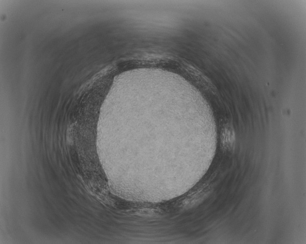 X0000083631204200703121645