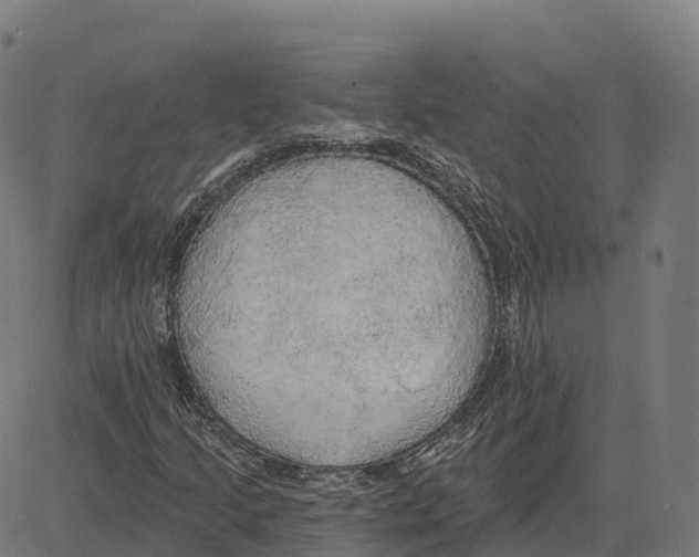 X0000083631205200703121645