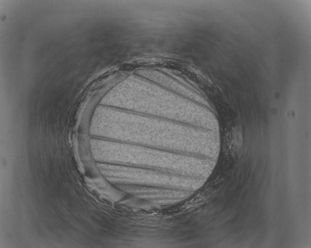 X0000083631206200703121645