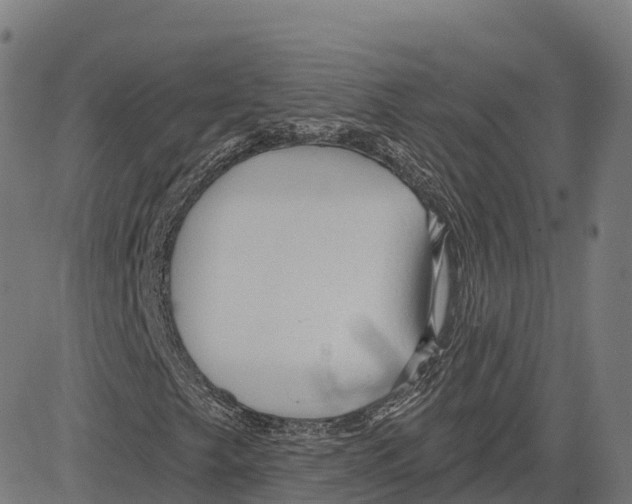 X0000083631249200703121645