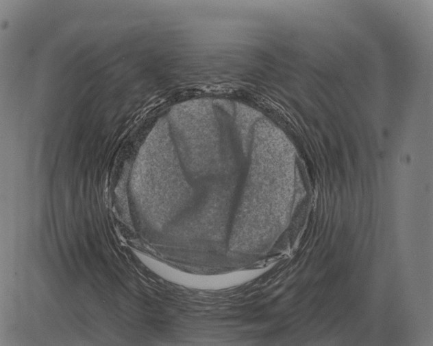 X0000083631298200703121643