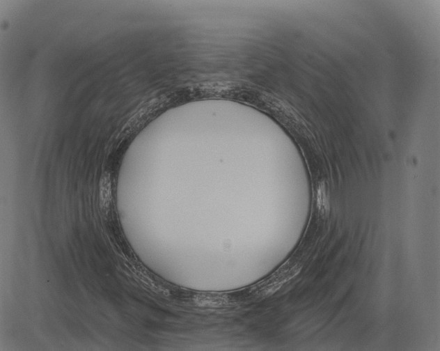 X0000083631299200703121643