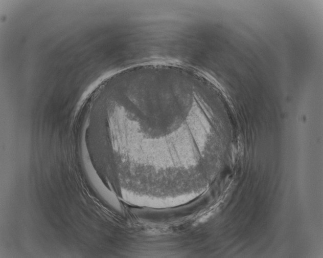 X0000083631310200703121644