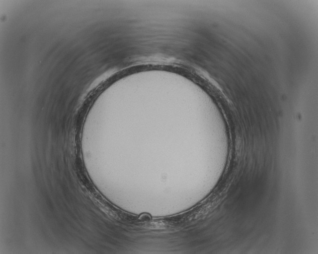 X0000083631315200703121644