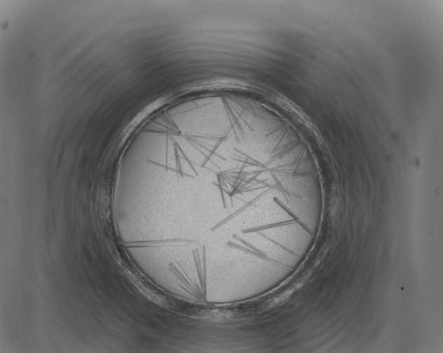 X0000083631321200703121644
