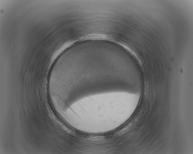 X0000083631325200703121644