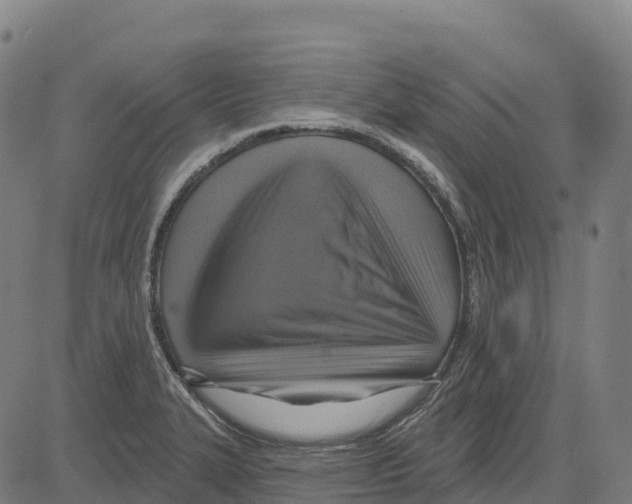 X0000083631327200703121644
