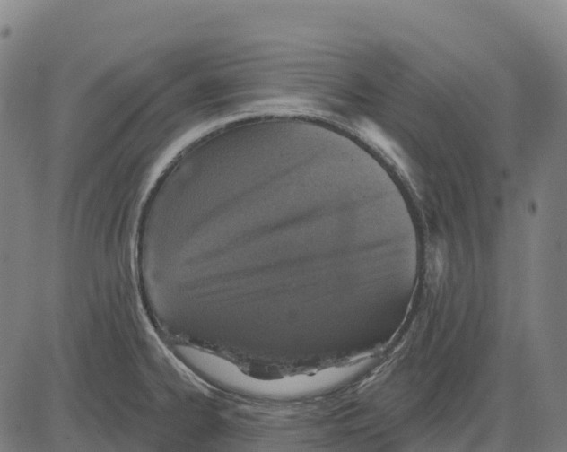 X0000083631334200703121644