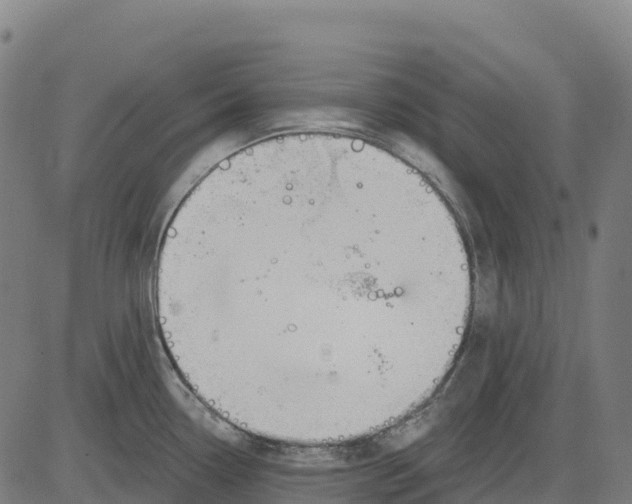 X0000083631338200703121644