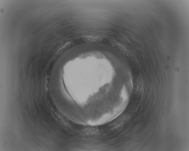 X0000083631346200703121643