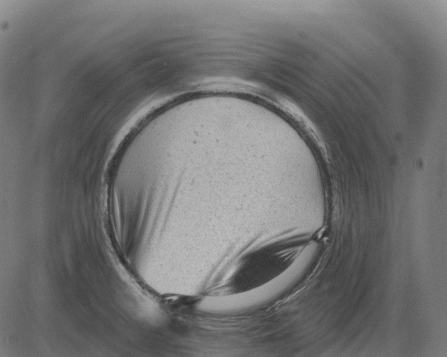 X0000083631376200703121643