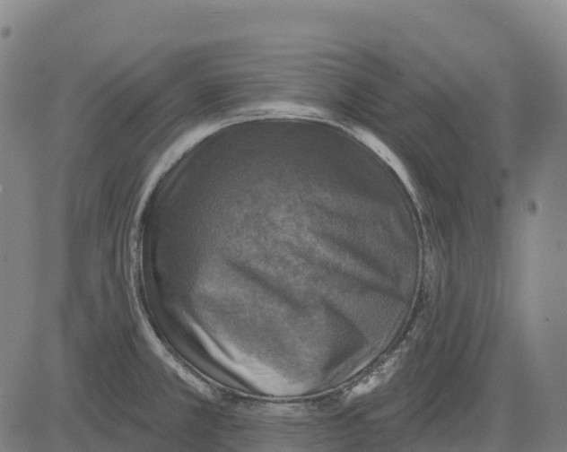 X0000083631381200703121643