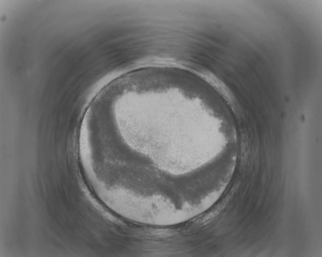 X0000083631382200703121643