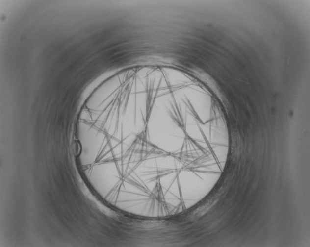 X0000083631387200703121643