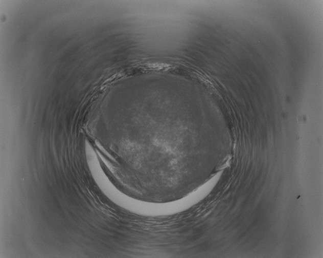 X0000083631394200703121642