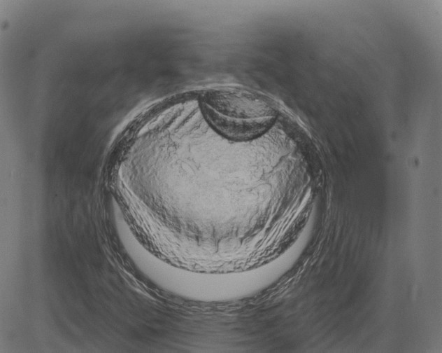 X0000083631400200703121642