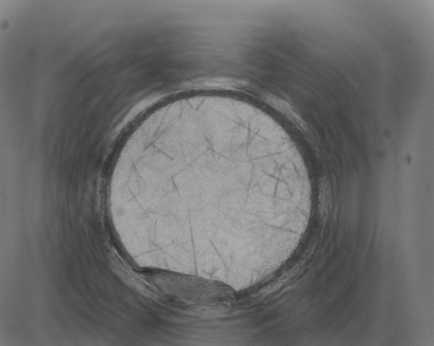 X0000083631404200703121642