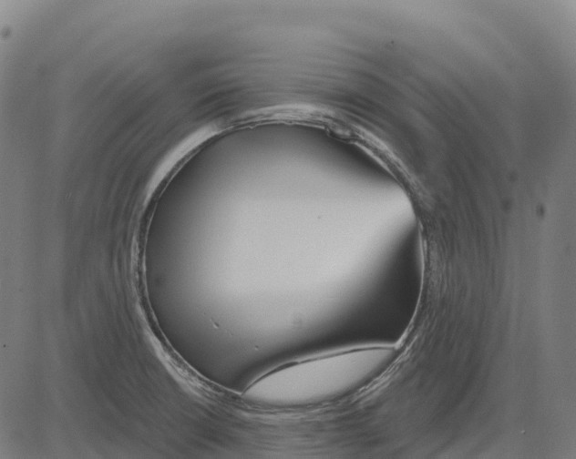 X0000083631426200703121642