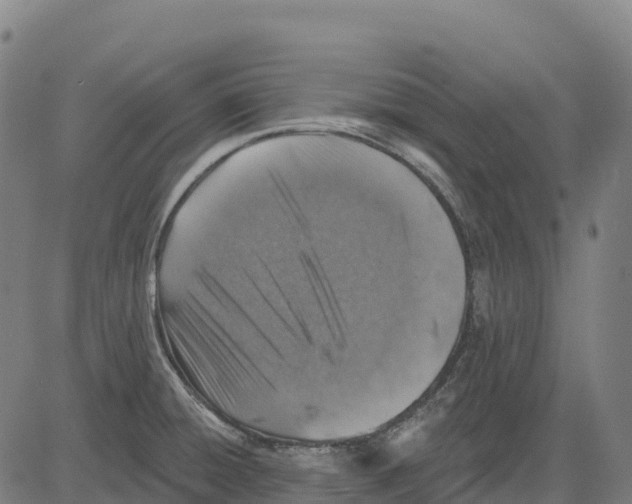 X0000083631428200703121642