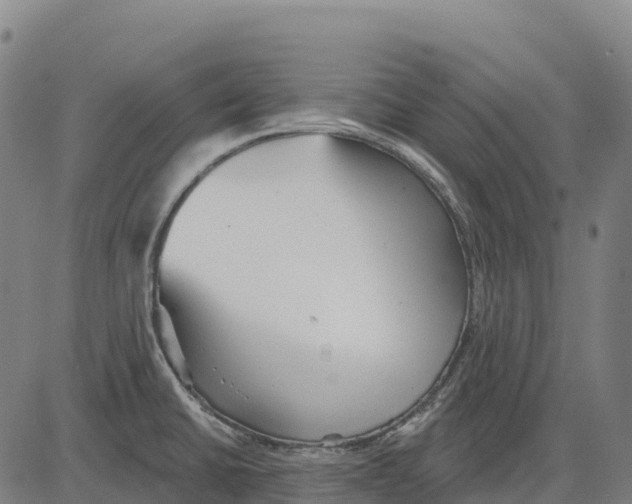 X0000083631430200703121642