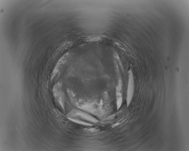 X0000083631441200703121642