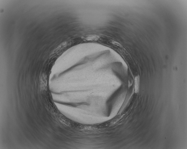 X0000083631443200703121642