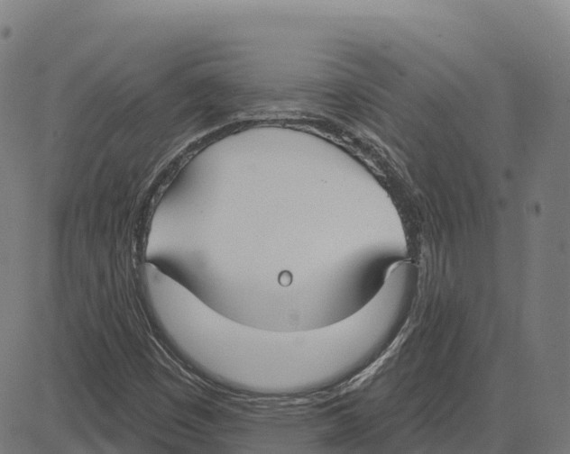 X0000083631449200703121642