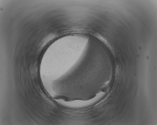 X0000083631450200703121642