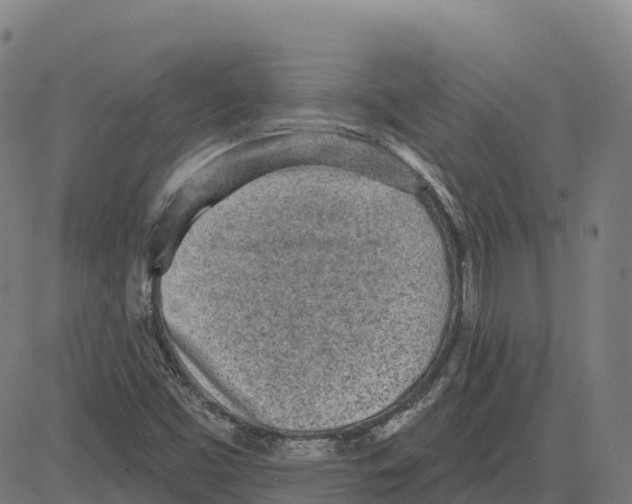 X0000083631453200703121642