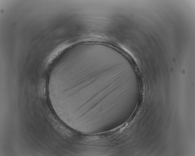 X0000083631455200703121642