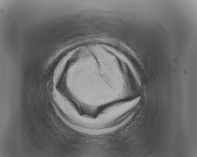 X0000083631496200703121640