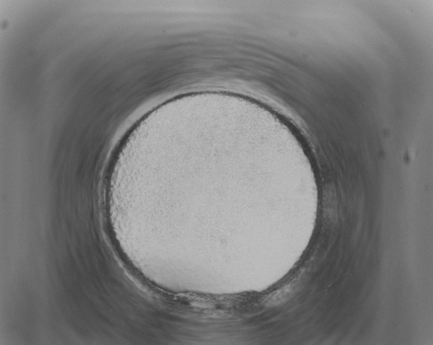 X0000083631517200703121641