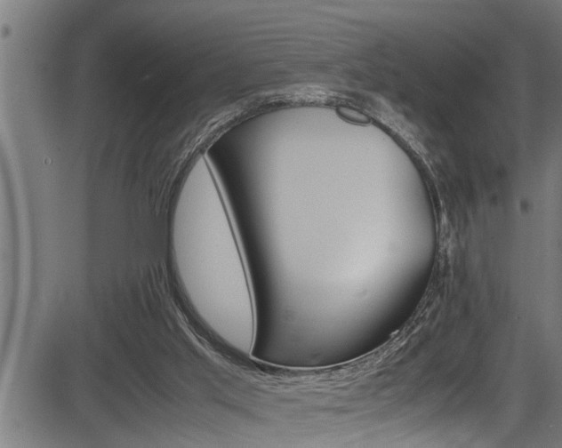 X0000083640013200702120803