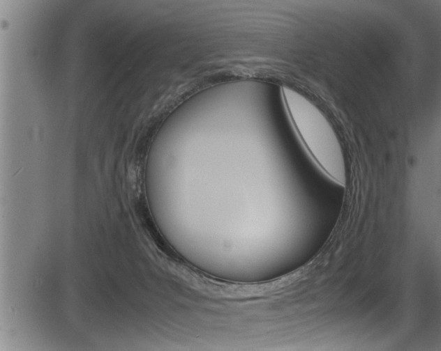 X0000083640031200702120802