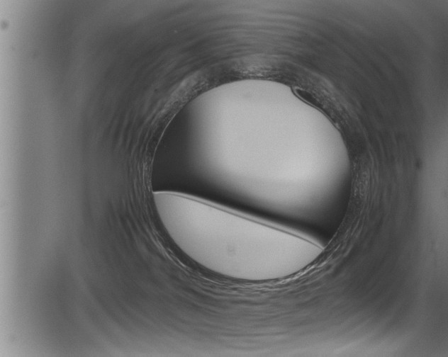 X0000083640044200702120802