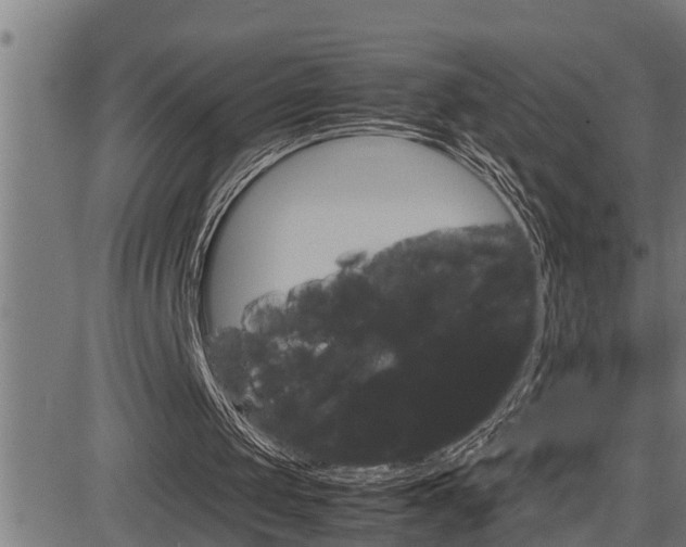 X0000083640049200702120801