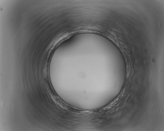 X0000083640050200702120801