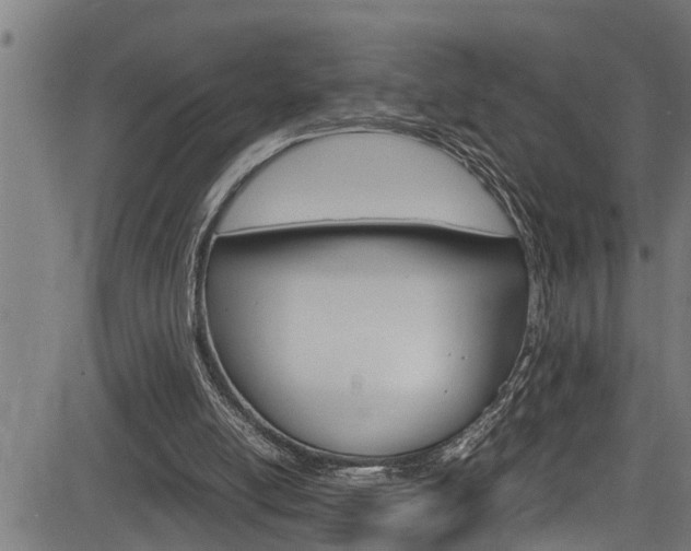 X0000083640054200702120801