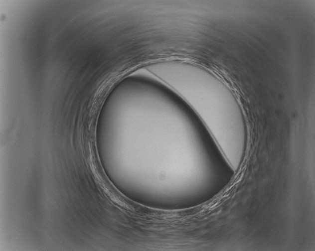 X0000083640097200702120801