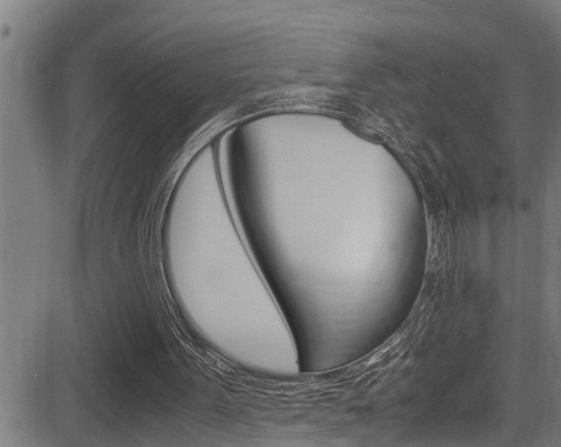 X0000083640099200702120801
