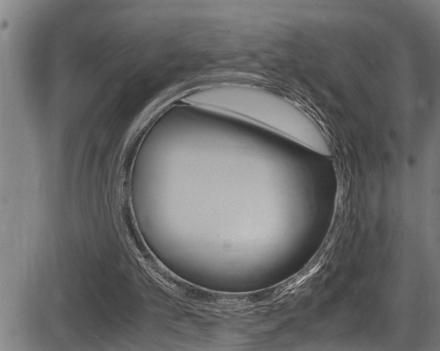 X0000083640101200702120801