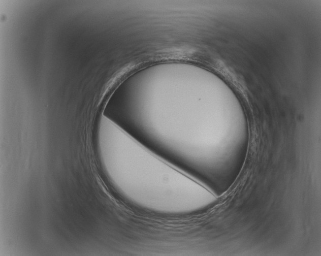 X0000083640107200702120801