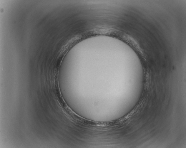 X0000083640114200702120801