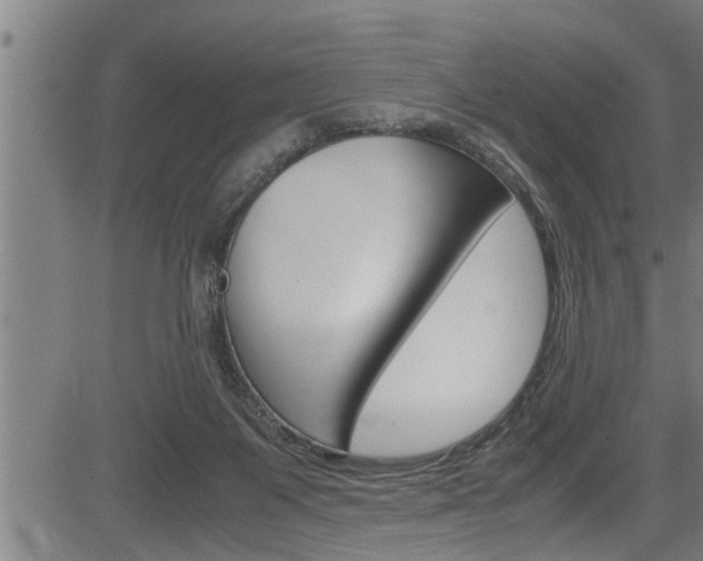 X0000083640119200702120801