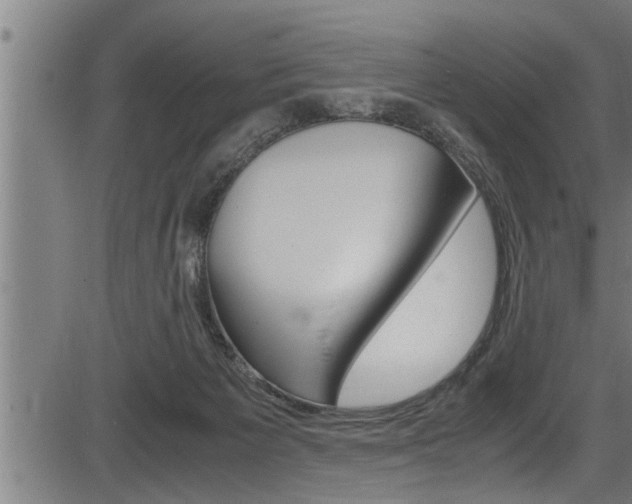 X0000083640125200702120801